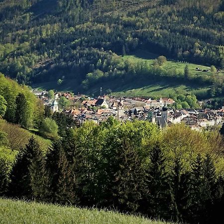 Appartement Kohlnberger Waidhofen an der Ybbs Extérieur photo