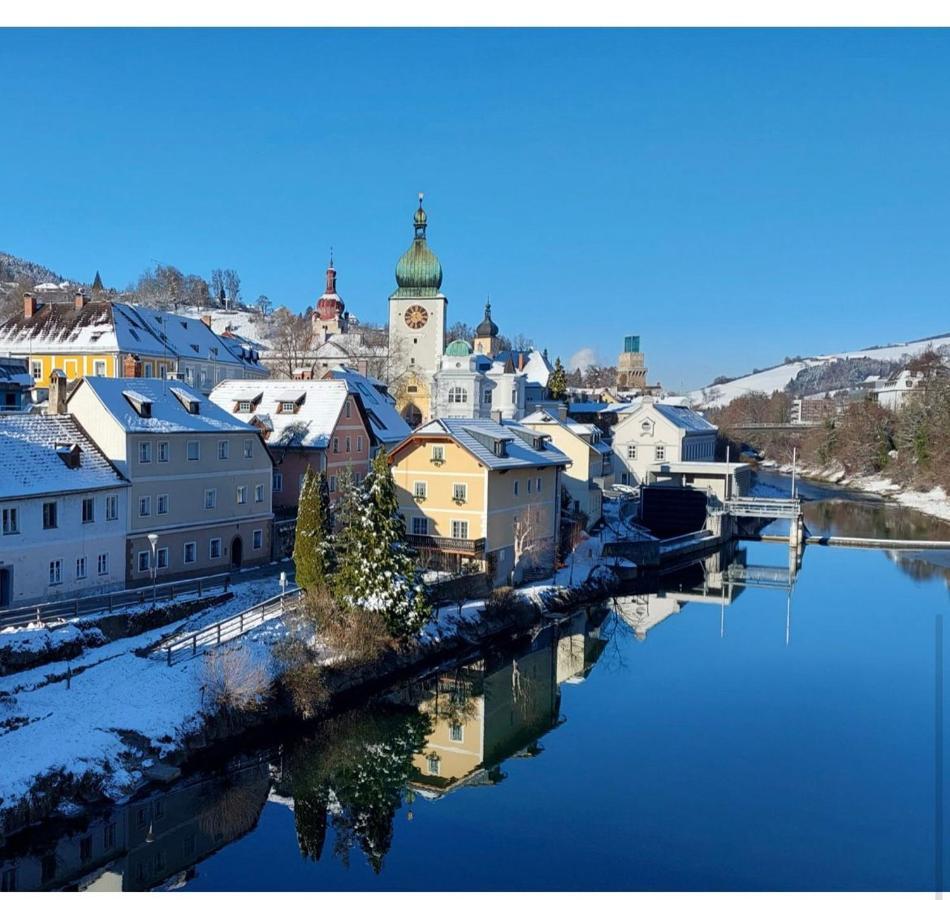 Appartement Kohlnberger Waidhofen an der Ybbs Extérieur photo