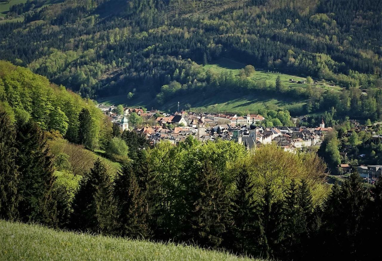 Appartement Kohlnberger Waidhofen an der Ybbs Extérieur photo
