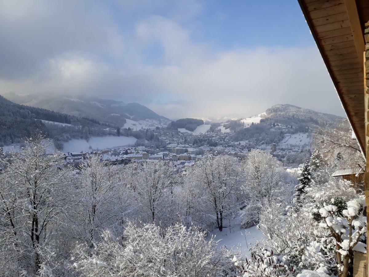 Appartement Kohlnberger Waidhofen an der Ybbs Extérieur photo