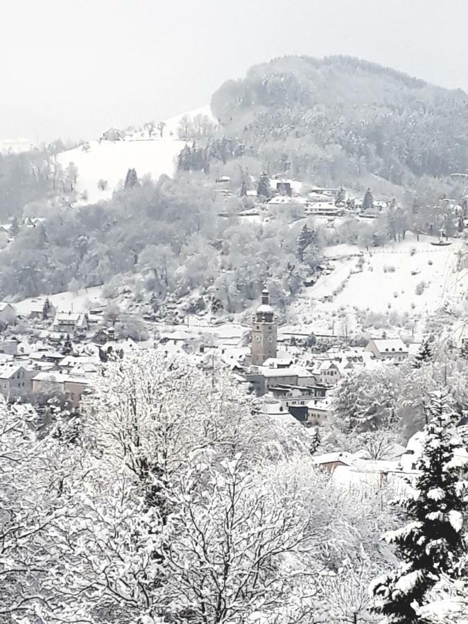 Appartement Kohlnberger Waidhofen an der Ybbs Extérieur photo